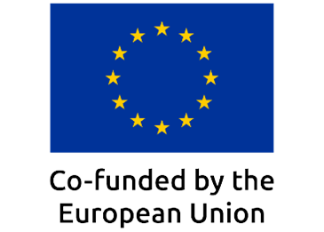Financed by the European Union with European Union flag